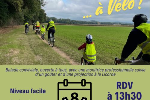 Programmation de mars à la Licorne